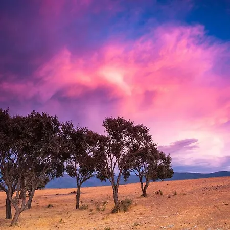 De La Romedina * Banobarez