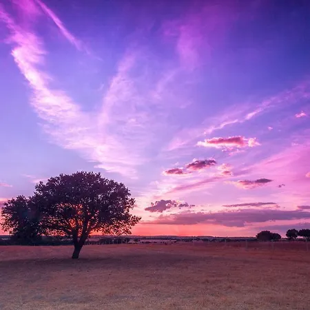 Apartment De La Romedina *