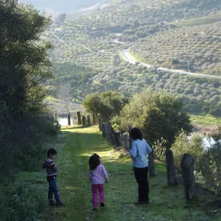 De La Romedina * Banobarez