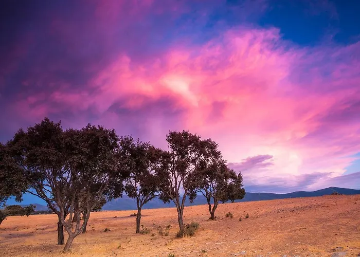 De La Romedina * Banobarez