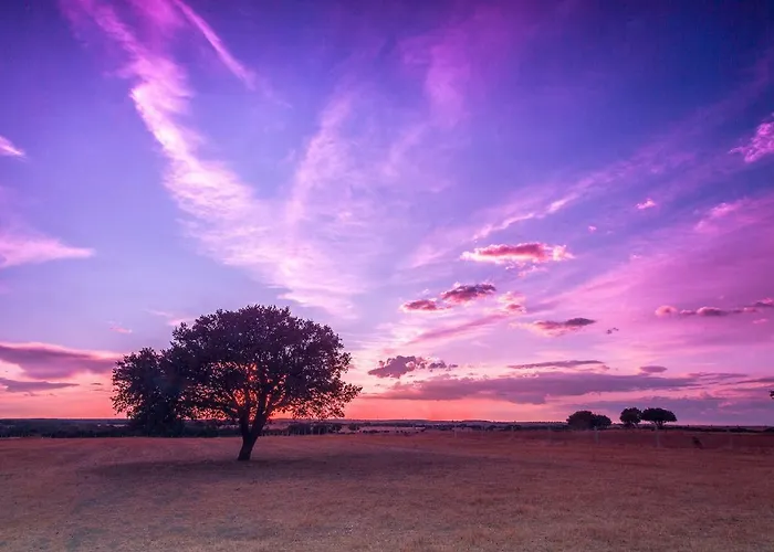 Apartamento De La Romedina *