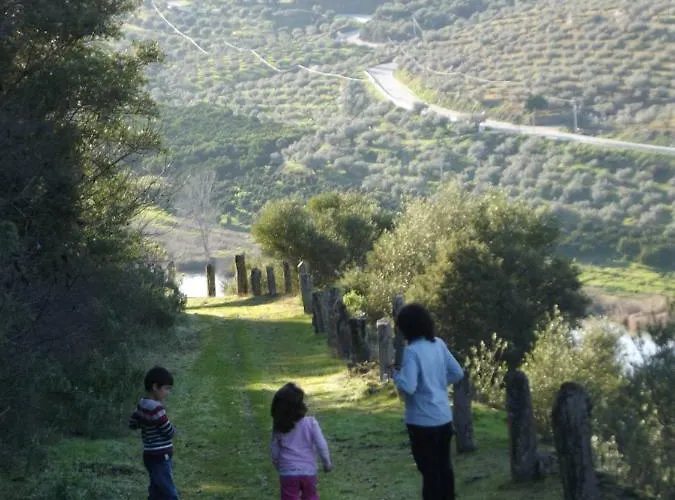 De La Romedina * Banobarez